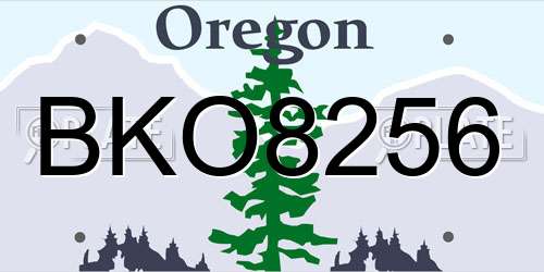 BKO8256 Oregon License Plate