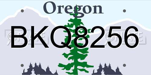 BKQ8256 Oregon License Plate