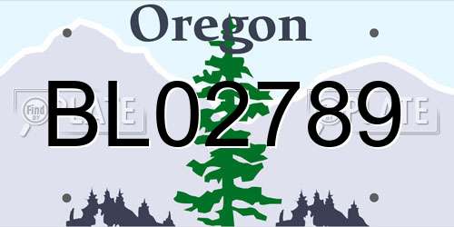 BL02789 Oregon License Plate
