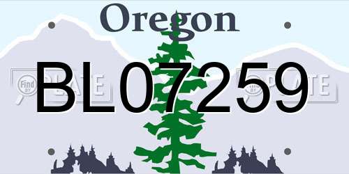 BL07259 Oregon License Plate