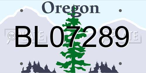BL07289 Oregon License Plate