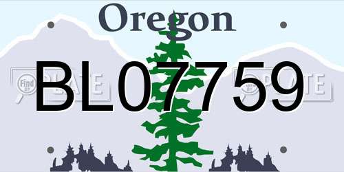 BL07759 Oregon License Plate