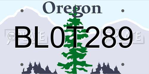 BL0T289 Oregon License Plate