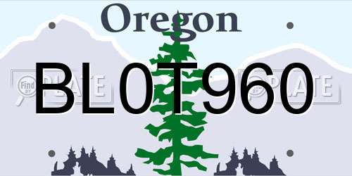 BL0T960 Oregon License Plate