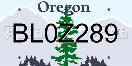 BL0Z289 Oregon License Plate