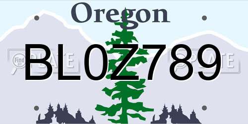 BL0Z789 Oregon License Plate