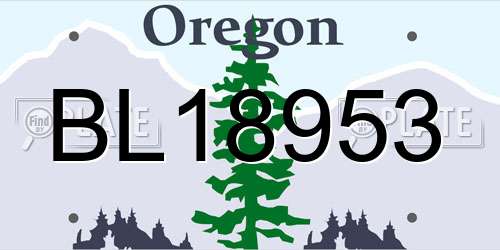 BL18953 Oregon License Plate