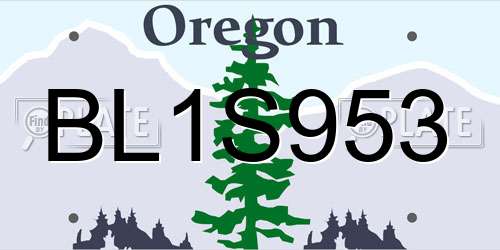 BL1S953 Oregon License Plate