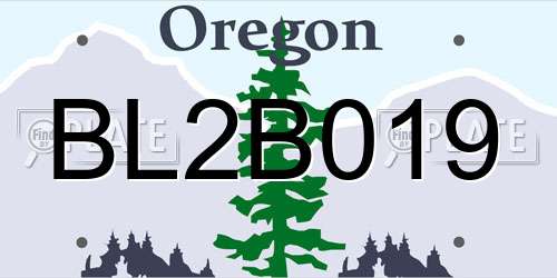 BL2B019 Oregon License Plate
