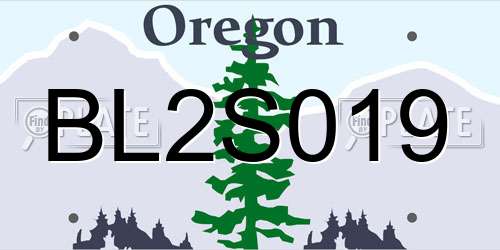 BL2S019 Oregon License Plate