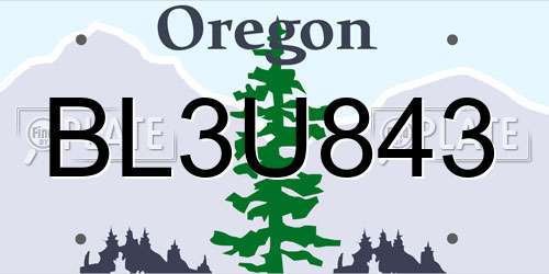 BL3U843 Oregon License Plate