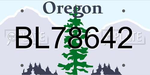 BL78642 Oregon License Plate