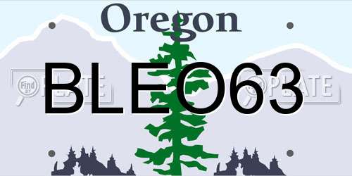 BLEO63 Oregon License Plate