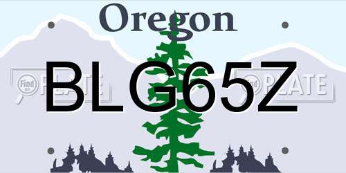 BLG65Z Oregon License Plate