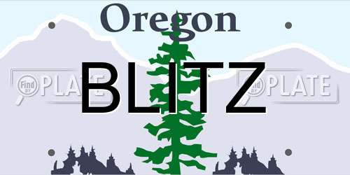 BLITZ Oregon License Plate