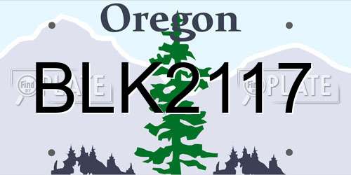 BLK2117 Oregon License Plate