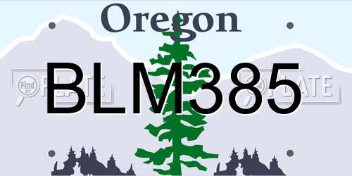 BLM385 Oregon License Plate