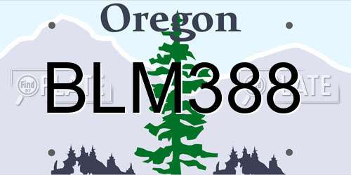 BLM388 Oregon License Plate