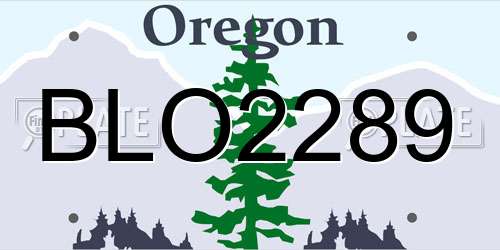 BLO2289 Oregon License Plate