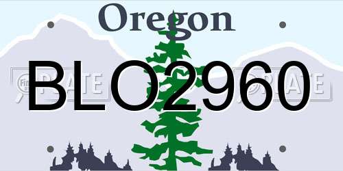 BLO2960 Oregon License Plate
