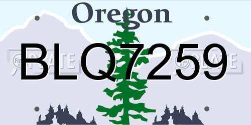 BLQ7259 Oregon License Plate