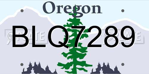 BLQ7289 Oregon License Plate