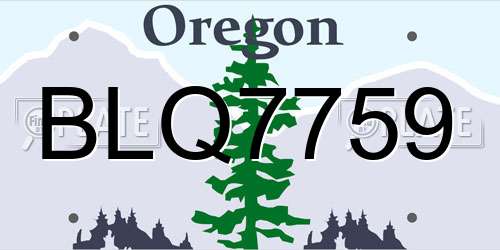 BLQ7759 Oregon License Plate
