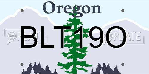 BLT19O Oregon License Plate
