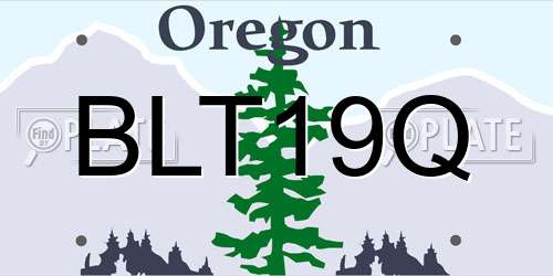 BLT19Q Oregon License Plate