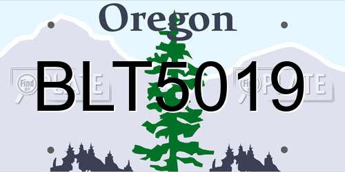 BLT5019 Oregon License Plate