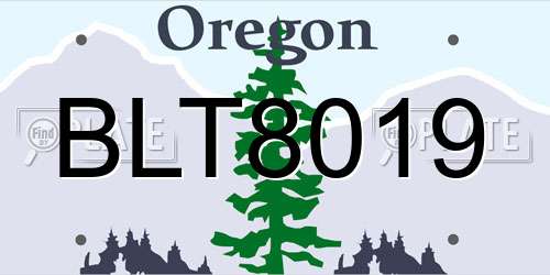 BLT8019 Oregon License Plate