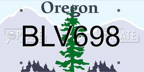 BLV698 Oregon License Plate