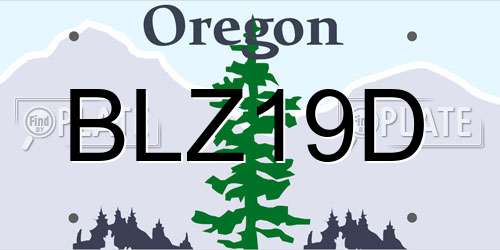 BLZ19D Oregon License Plate