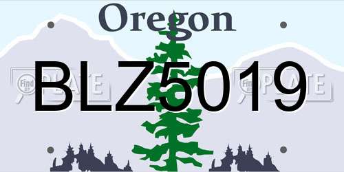 BLZ5019 Oregon License Plate