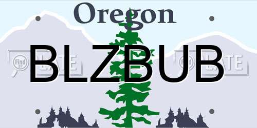 BLZBUB Oregon License Plate