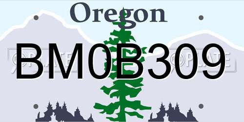 BM0B309 Oregon License Plate