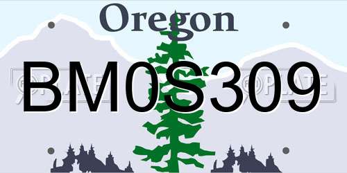 BM0S309 Oregon License Plate