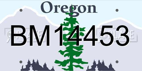 BM14453 Oregon License Plate