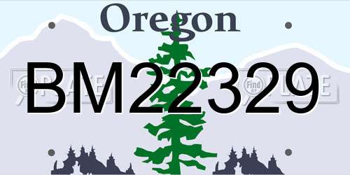 BM22329 Oregon License Plate