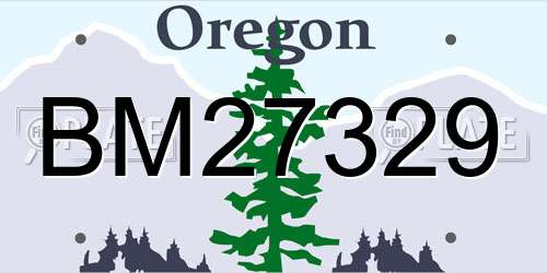 BM27329 Oregon License Plate