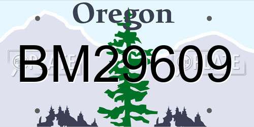 BM29609 Oregon License Plate