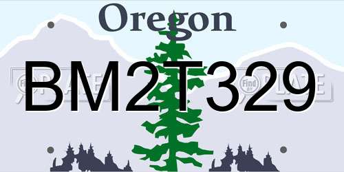 BM2T329 Oregon License Plate