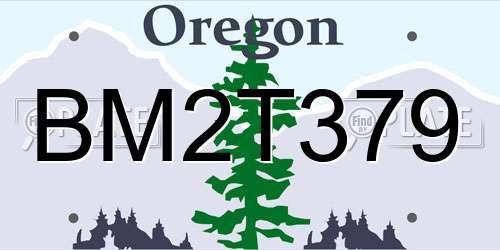 BM2T379 Oregon License Plate