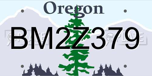 BM2Z379 Oregon License Plate