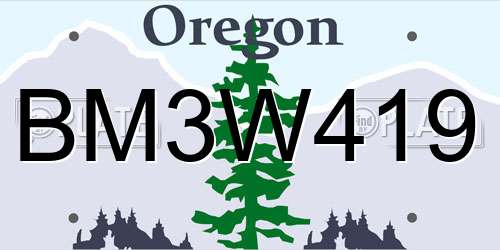 BM3W419 Oregon License Plate