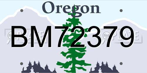 BM72379 Oregon License Plate