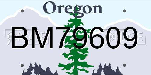 BM79609 Oregon License Plate