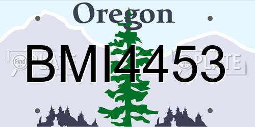 BMI4453 Oregon License Plate