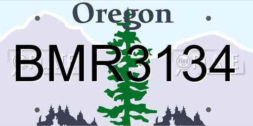 BMR3134 Oregon License Plate