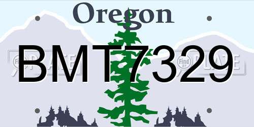 BMT7329 Oregon License Plate